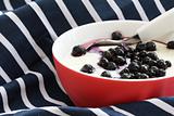 Red bowl with children porridge / mush with blueberries