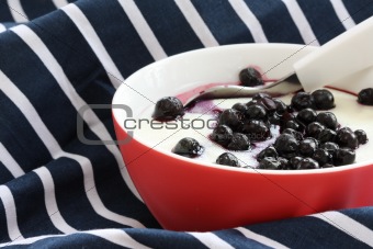 Red bowl with children porridge / mush with blueberries