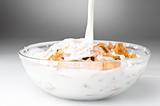 bowl with corn flakes and milk