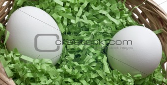 Easter Basket with Grass and Two White Eggs
