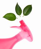 Environmentally Friendly Cleaning Bottle Spraying Leaves