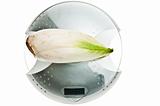 Endive on food scale