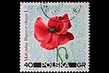 Poland - CIRCA 1967: A stamp - poppy