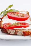 Healthy Sandwich With Cheese And Tomatoes