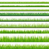 Big Set Grasses 