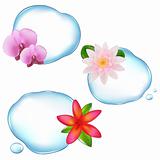 Flowers In Water