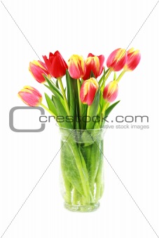 Tulips in vase