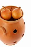 Onion in a ceramic pot