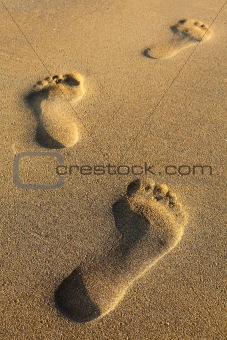 footsteps in sandy