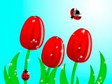 Ladybug Climbing Up Tulip Flower Stem