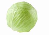 Head of cabbage isolated