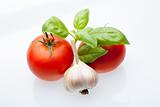 Tomato, mint and garlic
