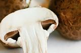 mushrooms (champignons)