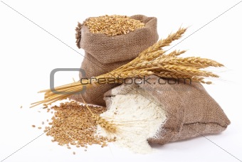 Flour and wheat grain