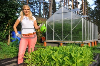 young pretty gardening woman watering salat plants