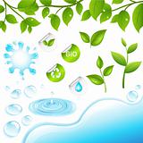 Collection Of Green Branches And Water Elements