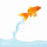 Goldfish Leaping Out Of Water