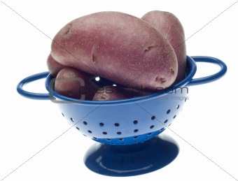 Whole Baby Red Potato in Blue Colander