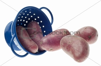 Whole Baby Red Potato in Blue Colander