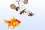 goldfish and money