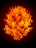 Fire Burning Flaming Skull