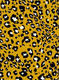 leopard fashion animal skin print
