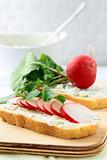sandwiches with radishes and cottage cheese