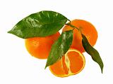 Tangerines with leaves isolated on white background 