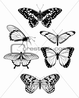 Beautiful stylized butterfly outline silhouettes