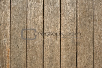 wood walls