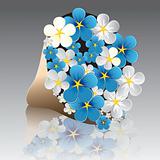Flower forget-me-not