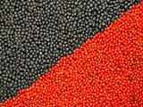Background from black and red berries