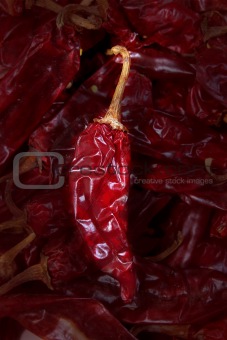 guajillo chili Acacia berlandieri dried pepper