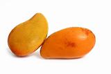 mango tropical fruit isolated on white