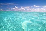 blue caribbean sea water wave horizon