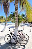 bicycles bike on coconut palm tree caribbean beach 