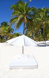 parasol beach tropical umbrella mattress palm trees