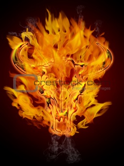 Bull Cow Skull Burning Fire Flames
