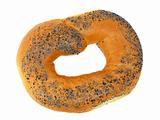 A delicious bagel with poppy seeds isolated on a white background 