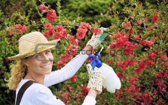 Young woman spraying tree
