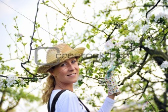 Young woman gardening - in apple tree orchard