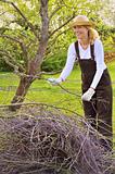 Young woman cleaning tree limbs