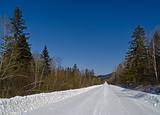 The White winter road