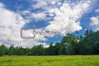 Landscape of a green field with trees