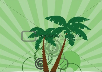green palms