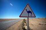 Camel Crossing Sign