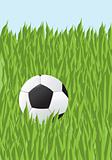 Football in a grass
