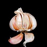 Garlic in isolated