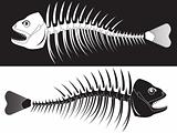  skeleton of fish