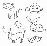 Hand drawn cartoon pets